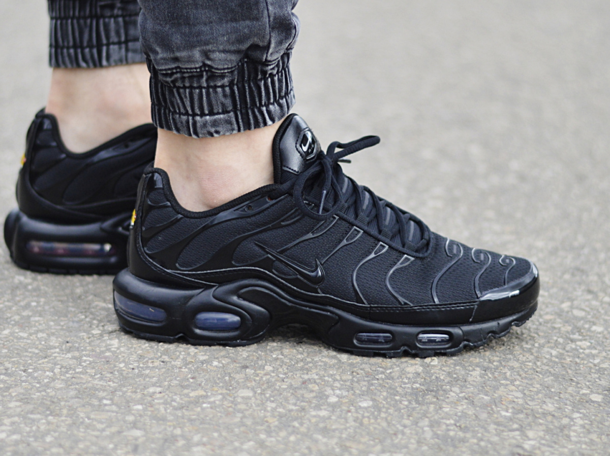 Nike Air Max Plus TN 604133-050